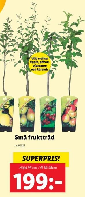 Små fruktträd