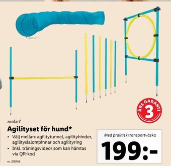 Lidl zoofari Agilityset för hund* erbjuda