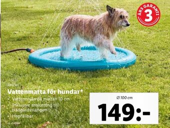 Lidl zoofari Vattenmatta för hundar* erbjuda