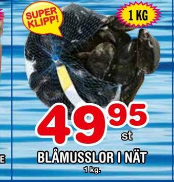 Nya Pulsen Blåmusslor i nät erbjuda