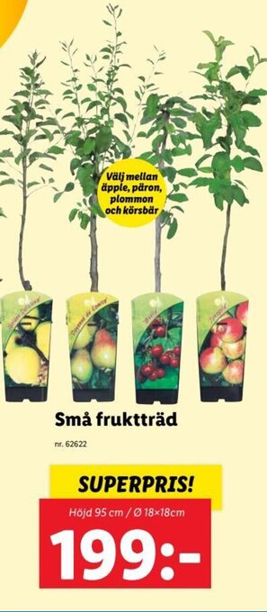 Lidl Små fruktträd erbjuda