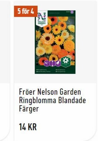 Granngården Fröer Nelson Garden Ringblomma Blandade Färger erbjuda