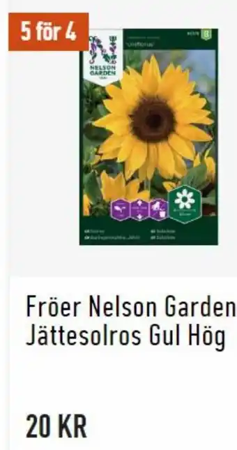 Granngården Fröer Nelson Garden Jättesolros Gul Hög erbjuda