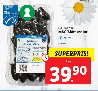 Msc blåmusslor