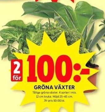 ICA Kvantum GRÖNA VÄXTER erbjuda
