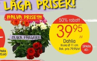 EKO Plantor erbjuda