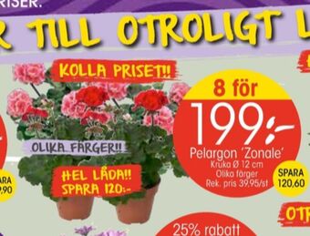 EKO Plantor erbjuda