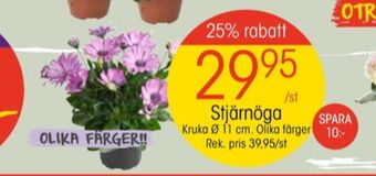 EKO Plantor erbjuda
