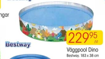 EKO Bestway pool erbjuda