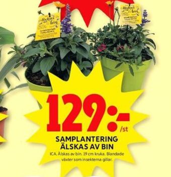 ICA Kvantum Ica plantor erbjuda