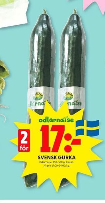 ICA Kvantum Odlarna.se gurka erbjuda