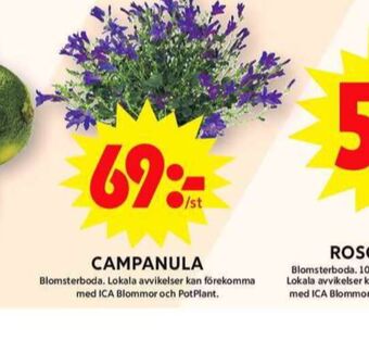 ICA Maxi Blomsterboda plantor erbjuda