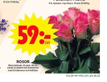 ICA Maxi Blomsterboda blommor erbjuda