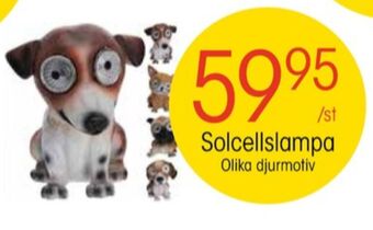 EKO Star trading solcellslampor erbjuda