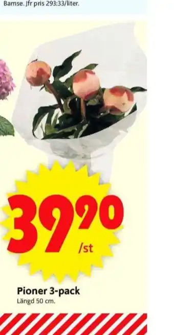ICA Supermarket A+ blommor erbjuda