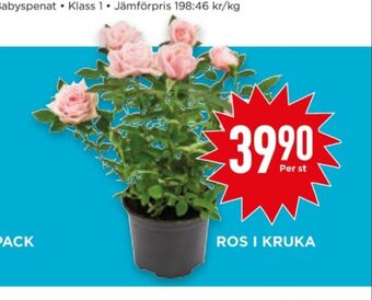 Willys Hemma Garant plantor erbjuda