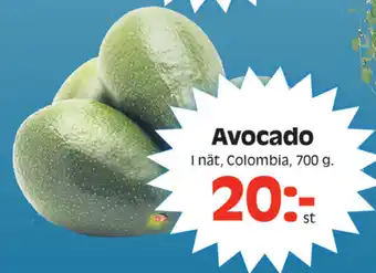 Götgatsbacken I nåt, Colombia Avocado 700g erbjuda