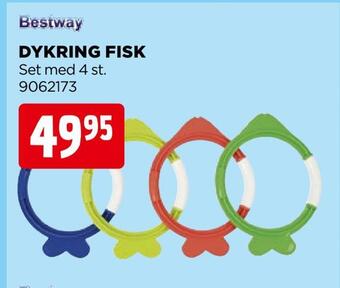 Dykring fisk