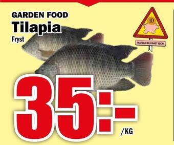 Matdax Tilapia erbjuda