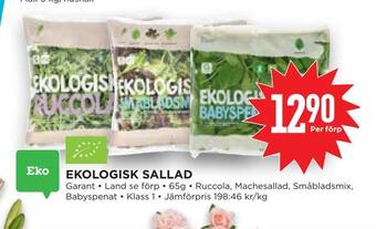 Willys Hemma Ekologisk sallad erbjuda