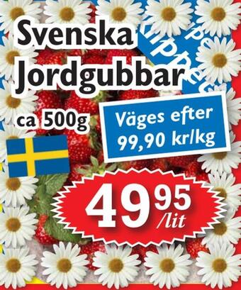 T-jarlen Svenska jordgubbar erbjuda
