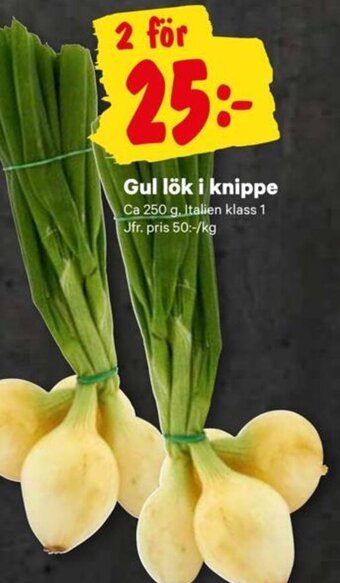 City Gross Gul lök i knippe erbjuda