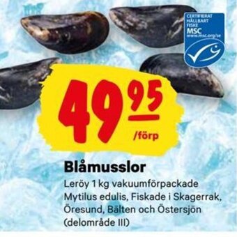 City Gross Blåmusslor erbjuda