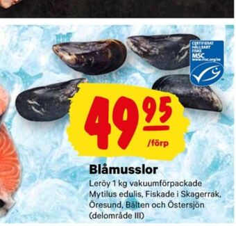 City Gross Leröy blåmusslor erbjuda