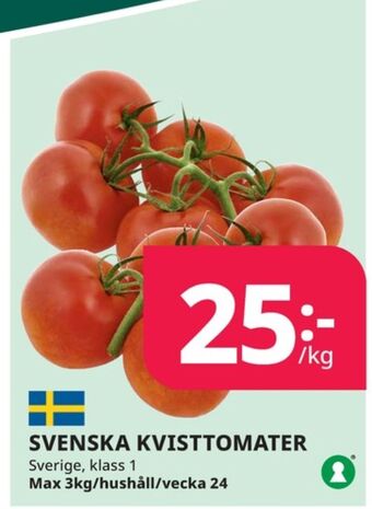 Tempo Tomater erbjuda