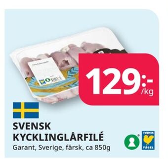 Tempo Garant kycklinglårfile erbjuda