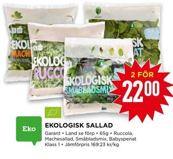 Willys Ekologisk sallad erbjuda