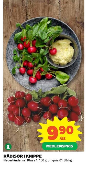 Coop Daglivs Rädisor i knippe erbjuda