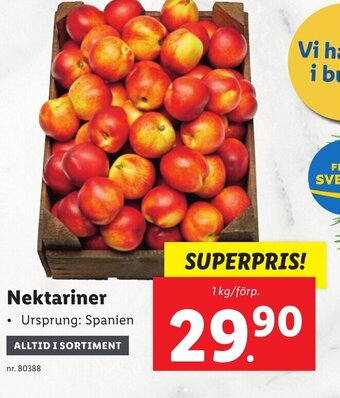Lidl Nektariner erbjuda