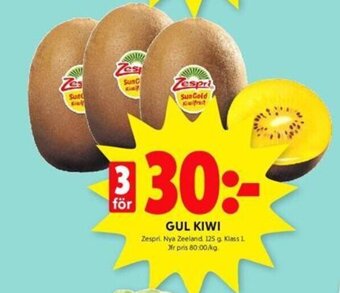 GUL KIWI
