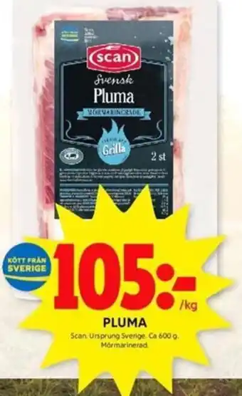 ICA Kvantum PLUMA Scan erbjuda