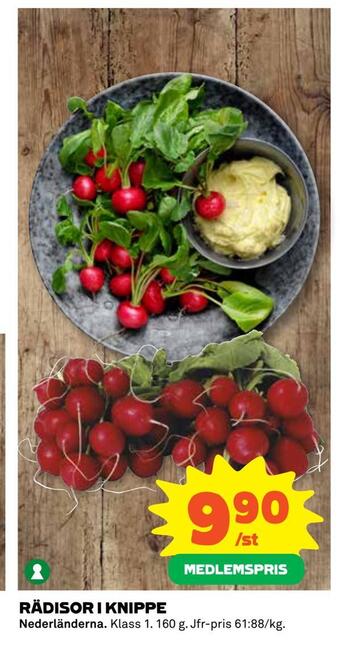 Coop Konsum Rädisor i knippe erbjuda