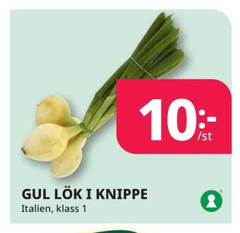 Tempo Gul lök i knippe erbjuda