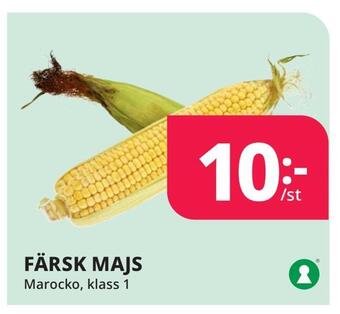 Tempo Färsk majs erbjuda