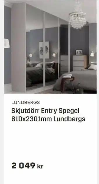Skjutdörr Entry Spegel 610x2301mm Lundbergs