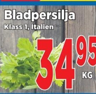 Bladpersilja
