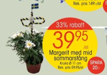 Eko krukväxt