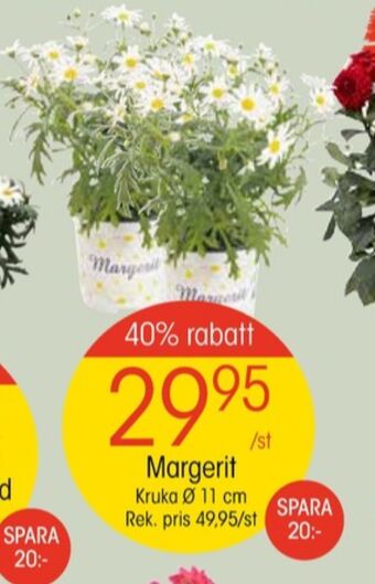 EKO Vila plantor erbjuda