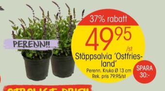 EKO Vila plantor erbjuda