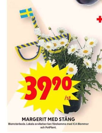 ICA Maxi Blomsterboda krukväxt erbjuda