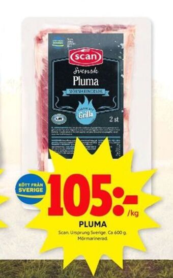 ICA Kvantum Scan pluma erbjuda