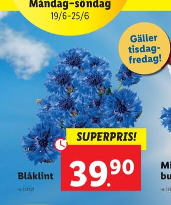 Lidl Svea lantkött blommor erbjuda