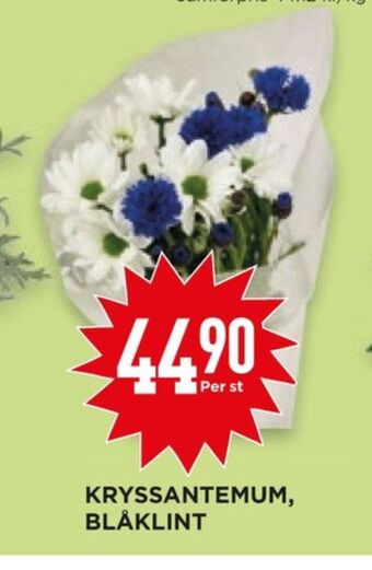 Libero blommor