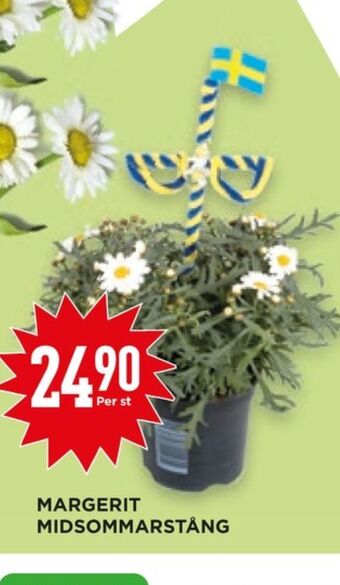 Willys Hemma Libero krukväxt erbjuda