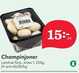 Hemköp Champinjoner erbjuda