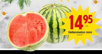 Matöppet Vattenmelon mini erbjuda